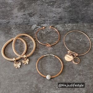 Rose Gold Charm Bracelet/Bangle Bundle Set